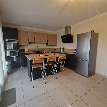 Apartment Confort Moderne Avec Piscine Et Jardin, Proche Menthon-Saint-Bernard